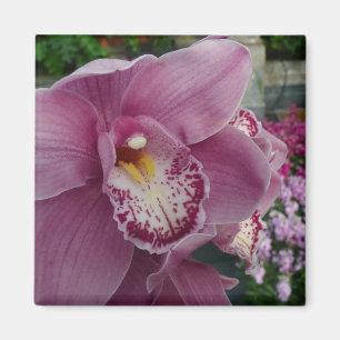 Lila Orchidee und Gartenfarben Magnet