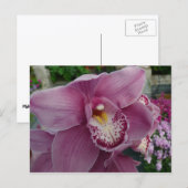 Lila Orchidee und Gartenfarben Postkarte (Vorne/Hinten)