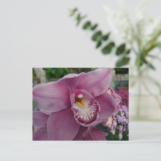 Lila Orchidee und Gartenfarben Postkarte (Stehend Vorderseite)