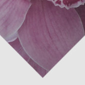 Lila Orchidee und Gartenfarben Seidenpapier (Detail)