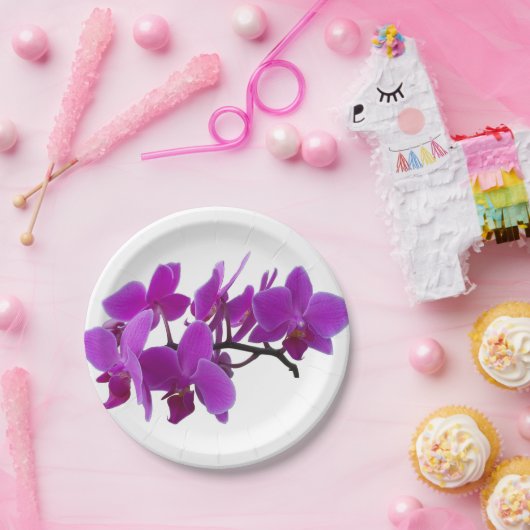 Lila Orchideen auf Papierplatte Pappteller (Party)