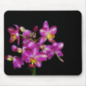 Lila Orchideen auf schwarzem Hintergrund Mousepad (Vorne)