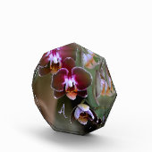 Lila Orchideen Botanische Fotografie Mit Monogramm Fotoblock (Rechts)