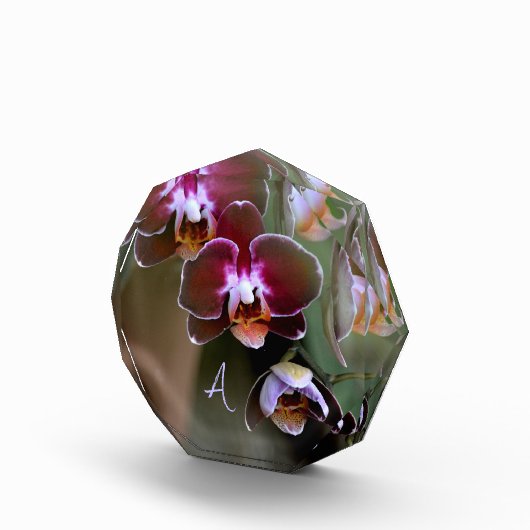 Lila Orchideen Botanische Fotografie Mit Monogramm Fotoblock (Rechts)