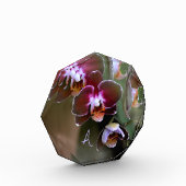 Lila Orchideen Botanische Fotografie Mit Monogramm Fotoblock (Links)