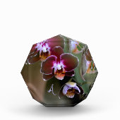 Lila Orchideen Botanische Fotografie Mit Monogramm Fotoblock (Vorderseite)