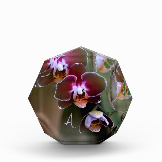 Lila Orchideen Botanische Fotografie Mit Monogramm Fotoblock (Vorderseite)