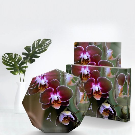 Lila Orchideen Botanische Fotografie Mit Monogramm Fotoblock
