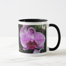 Lila Orchideen-Doppeltes mit der Grenzwecker-Tasse