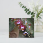 Lila Orchideen fotografisch-botanisch Postkarte (Stehend Vorderseite)