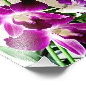 Lila Orchideen für Fotografie (Ecke)