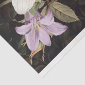 Lila Orchideen, gelbe Rose, Blumenstrauß Seidenpapier (Ausschnitt)