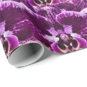 Lila Orchideen-Geschenk-Verpackung Geschenkpapier (Rolleneckpunkt)