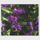 Lila Orchideen Geschenkpapier (Flach)