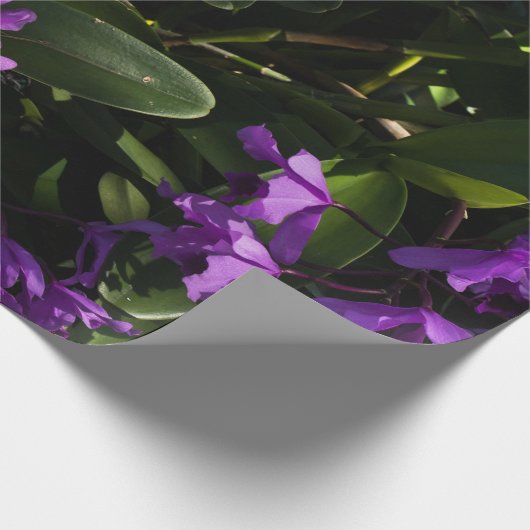 Lila Orchideen Geschenkpapier (Ecke)