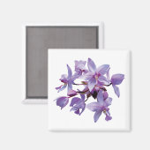 Lila Orchideen Magnet (Vorderseite/Rückseite)