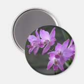 Lila Orchideen Magnet (Vorderseite/Rückseite)