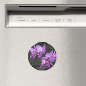 Lila Orchideen Magnet (In Situ (Geschirrspüler))