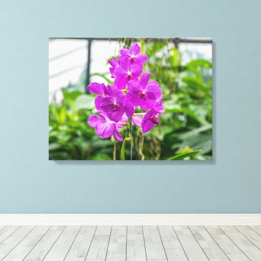 Lila Orchideen mit Leinwand (Insitu (Holzboden))