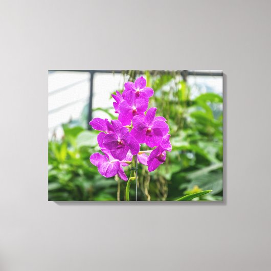 Lila Orchideen mit Leinwand (Vorderseite)