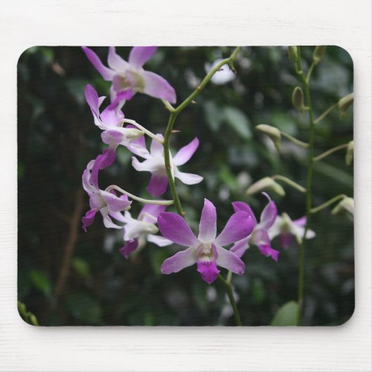 Lila Orchideen Mousepad (Vorne)