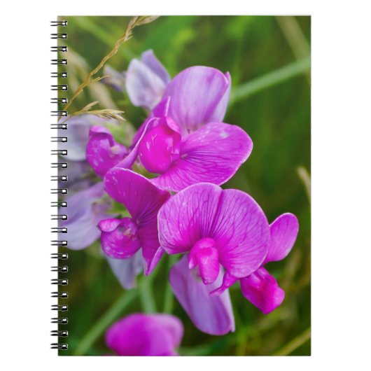 Lila Orchideen Notizblock (Vorderseite)