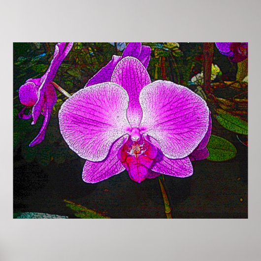 Lila Orchideen Poster (Vorne)