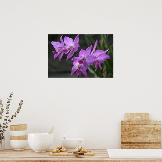 Lila Orchideen Poster (Küche)
