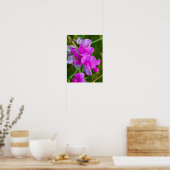 Lila Orchideen Poster (Küche)