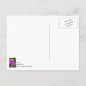 Lila Orchideen Postkarte (Rückseite)