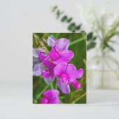 Lila Orchideen Postkarte (Stehend Vorderseite)