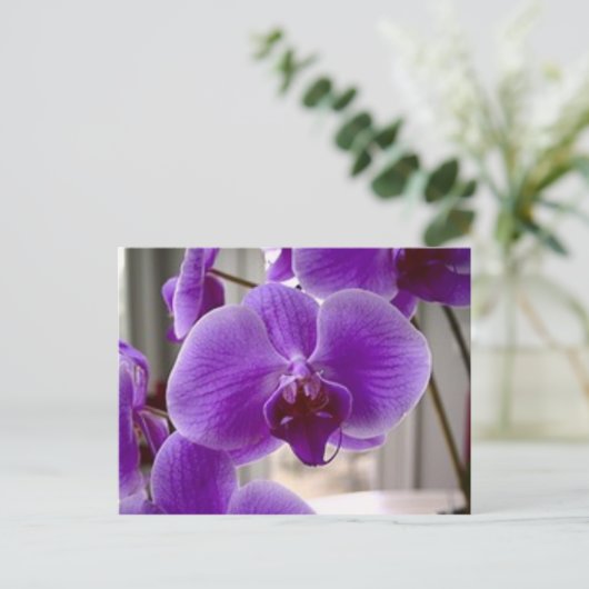 Lila Orchideen Postkarte (Stehend Vorderseite)