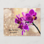 Lila Orchideen-Postkarte Postkarte (Vorderseite)
