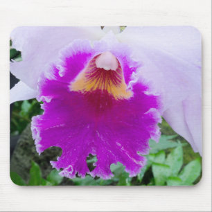 lila Orchideenblüte Mousepad