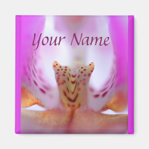 Lila Orchideenfalten orangefarbene und schwarze Pu Magnet
