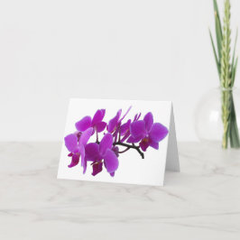 Lila Orchideenkarte Karte