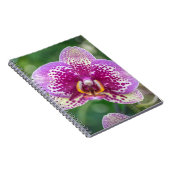 Lila Orchideennotizbuch Notizblock (Rechte Seite)