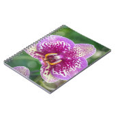 Lila Orchideennotizbuch Notizblock (Linke Seite)