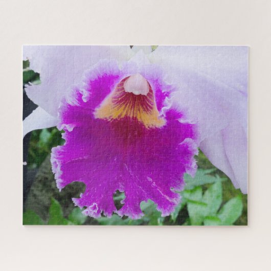 lila Orchideenschließung Puzzle (Horizontal)