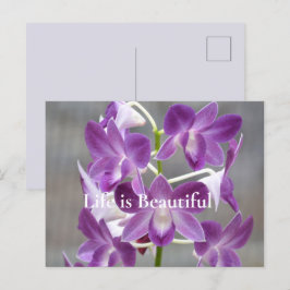 Lila Orchids Kauai Hawaii Postkarte
