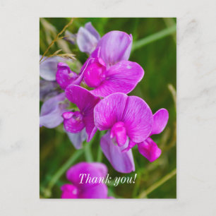 Lila Orchids Vielen Dank Postcard Postkarte