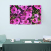 Lila Osteospermum-Blume Banner (Messeveranstaltung)