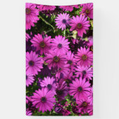 Lila Osteospermum-Blume Banner (Vertikal)
