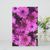 Lila Osteospermum-Blume Briefpapier (Stehend Vorderseite)