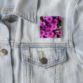 Lila Osteospermum-Blume Button (Beispiel)