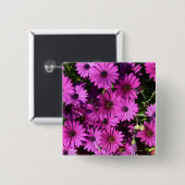 Lila Osteospermum-Blume Button (Vorne & Hinten)