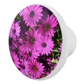 Lila Osteospermum-Blume Keramikknauf (Rechts)
