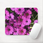Lila Osteospermum-Blume Mousepad (Mit Mouse)