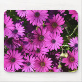 Lila Osteospermum-Blume Mousepad (Vorne)