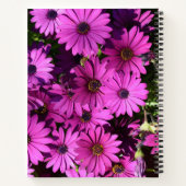 Lila Osteospermum-Blume Notizblock (Rückseite)